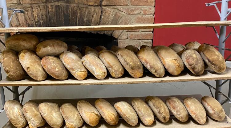 Domaći kruh uz brašno i klasove pšenice
